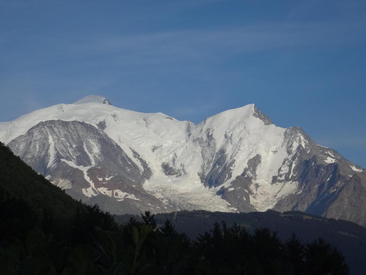 Mont Blanc Holidays Dans Residence Avec Gardien Салланш Екстер'єр фото