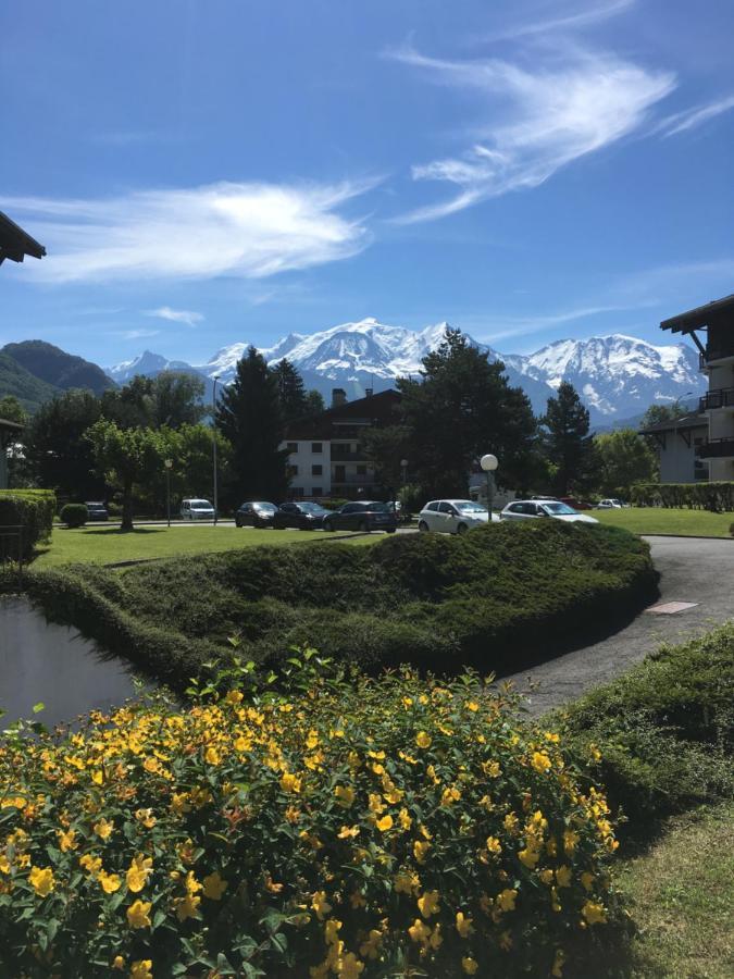 Mont Blanc Holidays Dans Residence Avec Gardien Салланш Екстер'єр фото